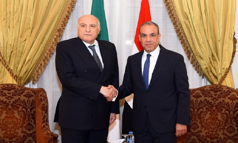 مصر والجزائر ترفضان التدخلات الخارجية في أفريقيا