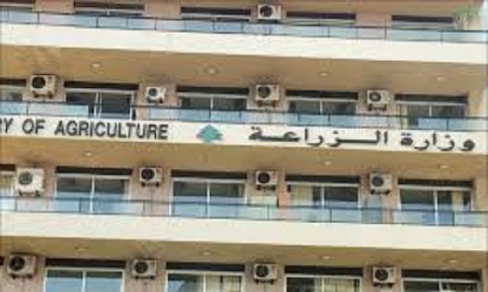 “الزراعة”: للإمتناع عن نشر أي معلومات عن الحمى القلاعية