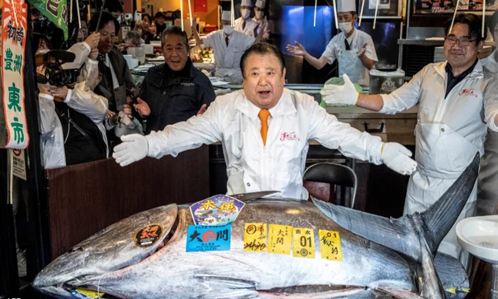 بيع سمكة تونة بـ3.2 ملايين دولار!