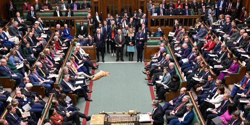 بسبب غرينلاند.. نائبان بريطانيان يدعوان لمقاطعة كأس العالم