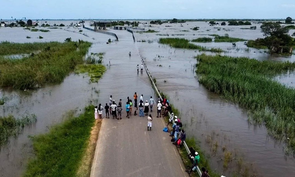 التماسيح تغزو شوارع موزمبيق