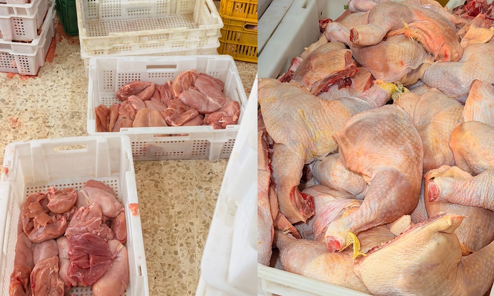 ضبط مستودعَي دجاج مخالفَين لشروط السّلامة الغذائيّة! (فيديو)