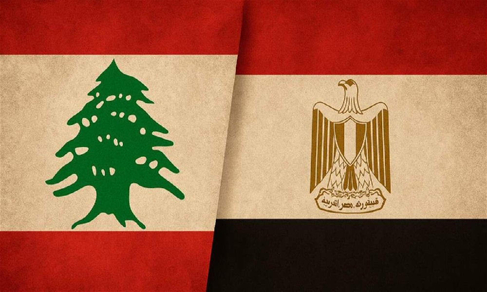 عبد العاطي لسلام: مصر تدعم سيادة لبنان