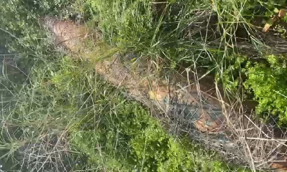 العثور على صاروخ غير منفجر في بيوت السياد