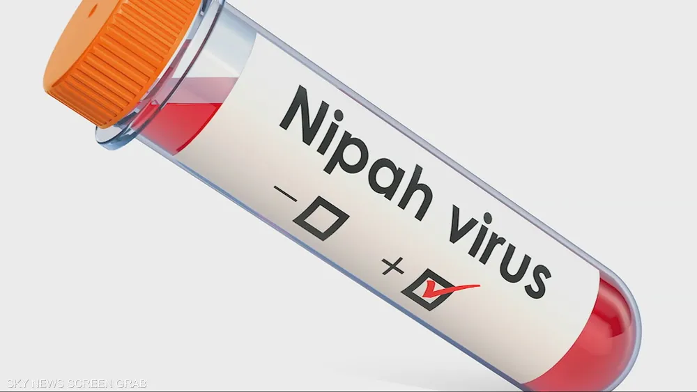 إليكم حقيقة انتشار فيروس نيباه خارج الهند