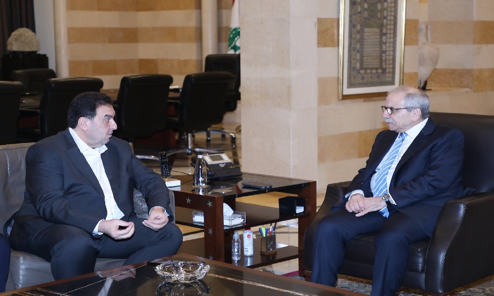 البعريني في السراي.. وهذا ما تم بحثه