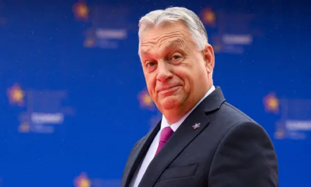 زيلينسكي يسخر من “بطن” رئيس وزراء