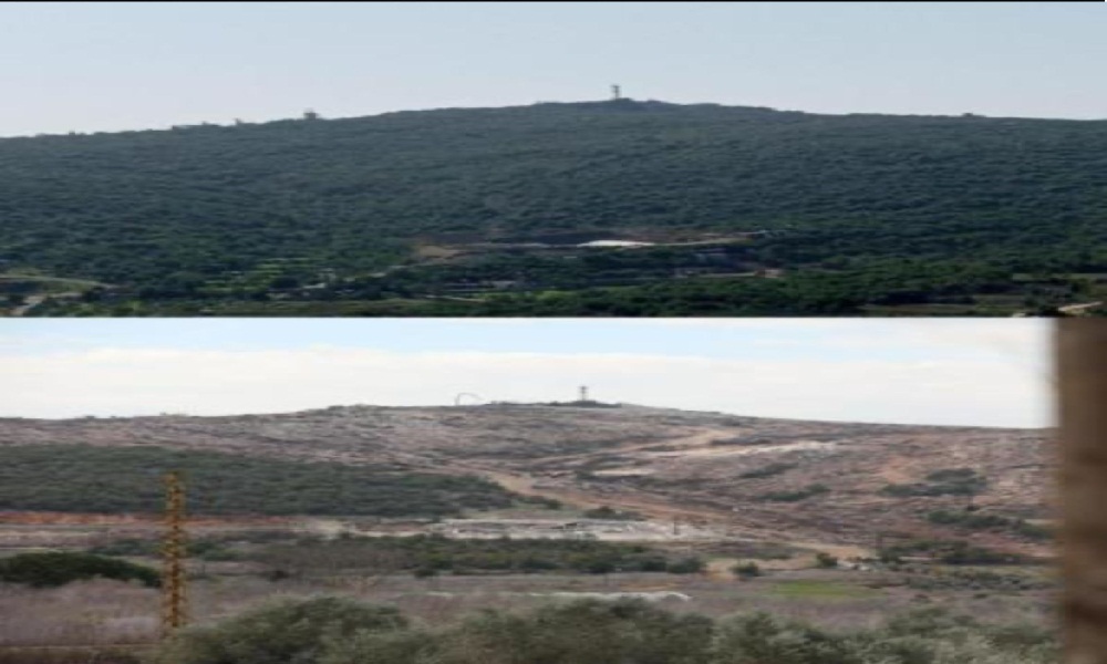 هاني ينشر صور صادمة من الجنوب