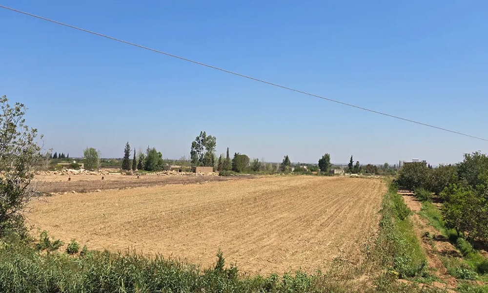 عناصر مسلّحة سورية توغّلت إلى حوش السيد علي!