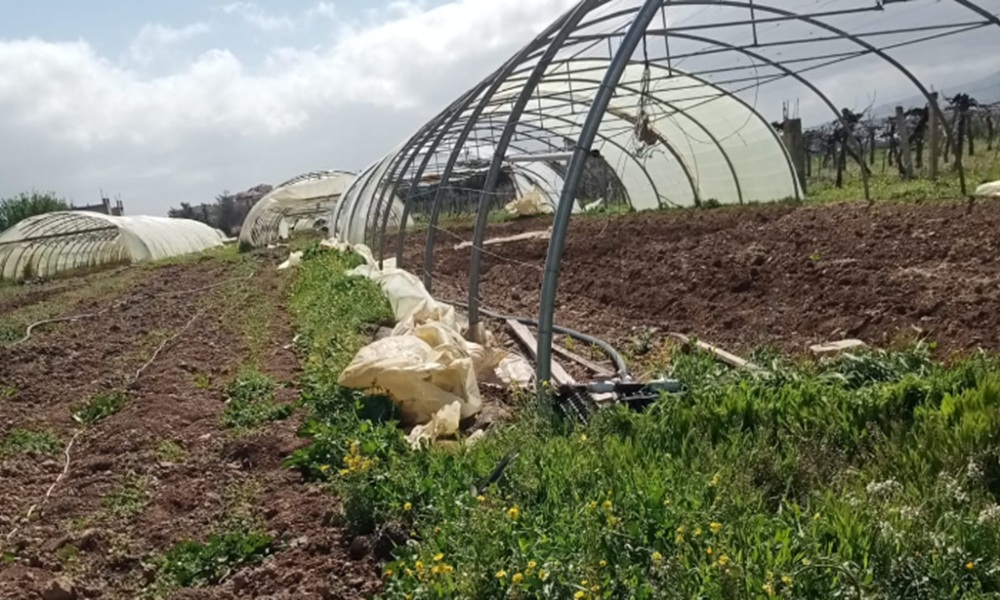 نقابة مزارعي البيوت البلاستيكية تدعم اللبنانيين وتدين الاعتداءات