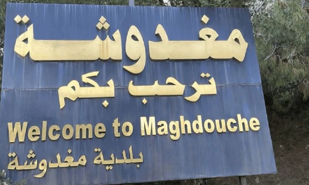 الجيش يوقف عددًا من المتورطين في إشكال مغدوشة