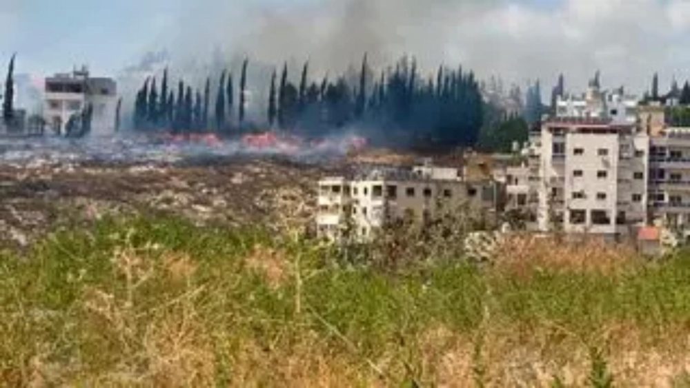 حريق في ضواحي عين بعال