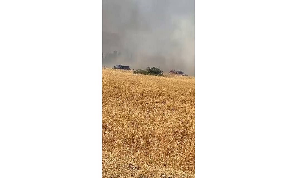 حريق يلتهم مساحات واسعة من حقول القمح في البقاع الغربي