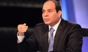 السيسي: مصر حريصة على حماية المواطنين خلال ملاحقة الإرهاب
