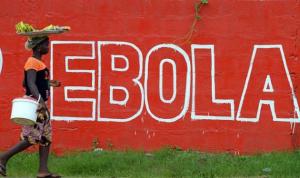 البنك الدولي عن الإيبولا: نجاح معظم البلدان الأفريقية في تفادى خسائر اقتصادية كبيرة