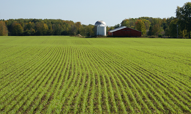 USAAgriculture