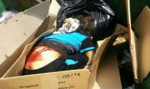 تمثيل جريمة قتل الطفل محمد الخولي في حلبا