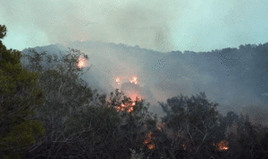 حريق في حرج تابع لدير مار سركيس في بينو