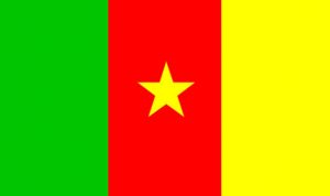 هجوم انتحاري يوقع 3 قتلى على الاقل في اقصى شمال الكاميرون