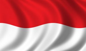 فقدان 15 سائحا أجنبيا نتيجة غرق زورق في اندونيسيا