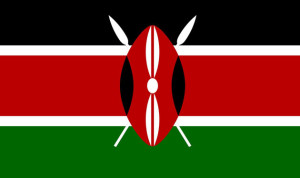 6 جرحى في هجوم للشباب الاسلاميين على موكب رسمي في كينيا
