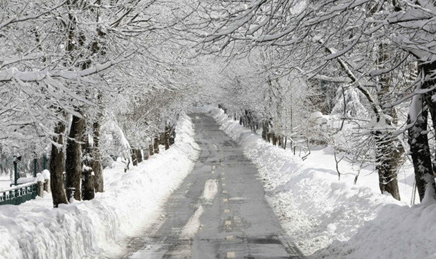 snow-lebanon