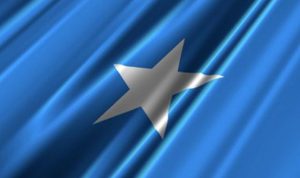 الصومال: الثروة الحيوانيّة من أبرز دعائم النمو